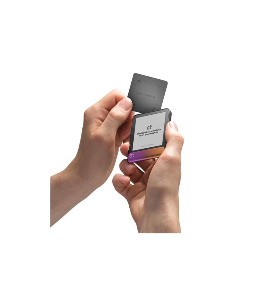 Ledger - Flex (inkl. Recovery Key) Ferro Fuchsia