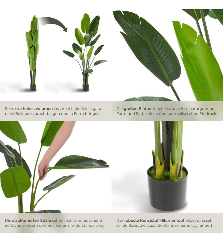 Pianta artificiale strelitzia Tropic, realistica - 180 cm
