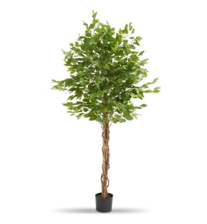 Albero di Ficus artificiale Fida, texture realistica - 180 cm
