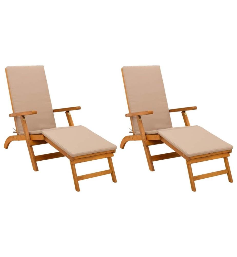 vidaXL Reclining and Folding Sunlounger 2 pcs 55 x 146 x 91 cm