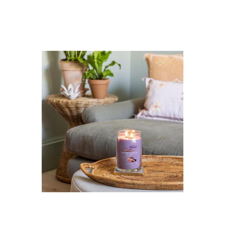 YANKEE CANDLE - Signature Duftkerze Stargazing Large Jar