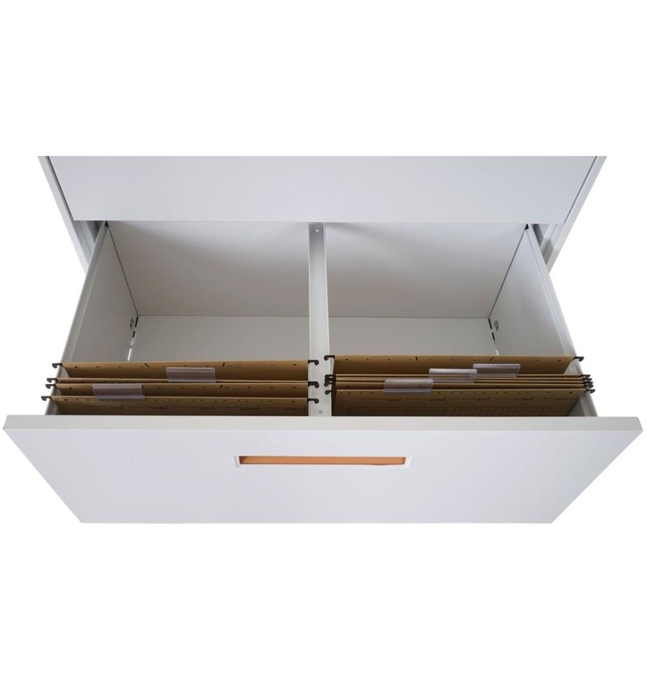 Armoire à dossiers suspendus 132x76x46 cm verrouillable
