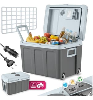 Box refrigerante e riscaldante elettrico con maniglie e ruote, 40 L - grigio