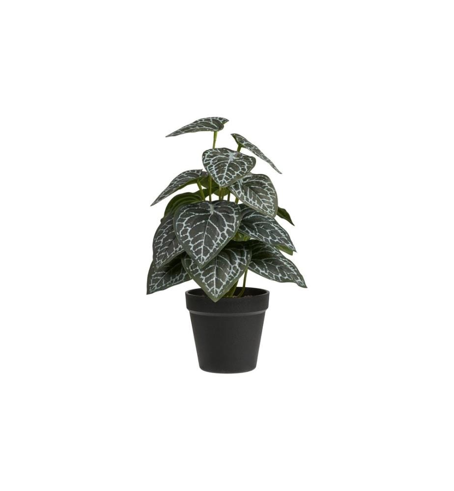House Nordic - Kunstpflanze 33 cm