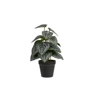 House Nordic - Kunstpflanze 33 cm