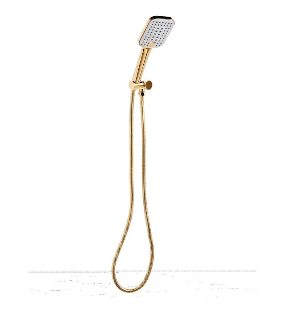 Shower Head and Hose Kit TINGO 4-function Gold
