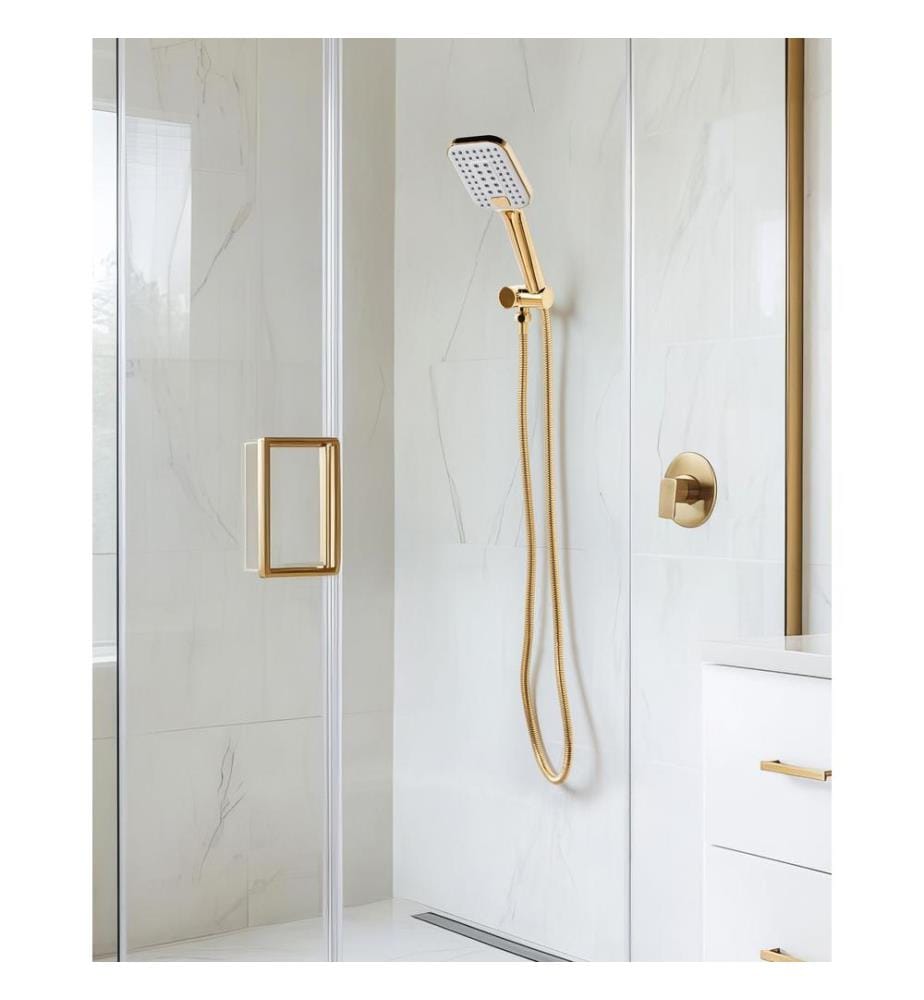 Shower Head and Hose Kit TINGO 4-function Gold