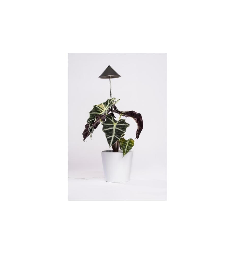 VENSO SOLUTIONS - Lumière de plantes SunLite 7 W, Gris