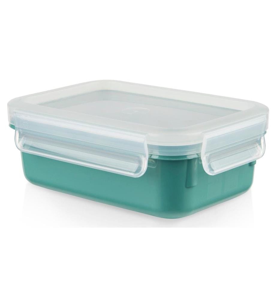 EMSA - Récipients à provisions Clip & Close 0.55 l, Vert