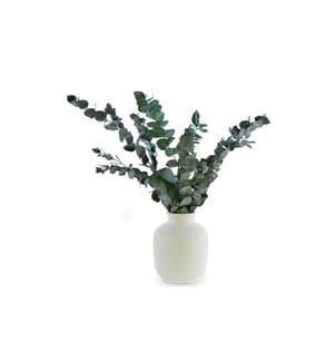 SOLI COLLECTION - Fleurs séchées Eukalyptus 40-55 cm, blanc