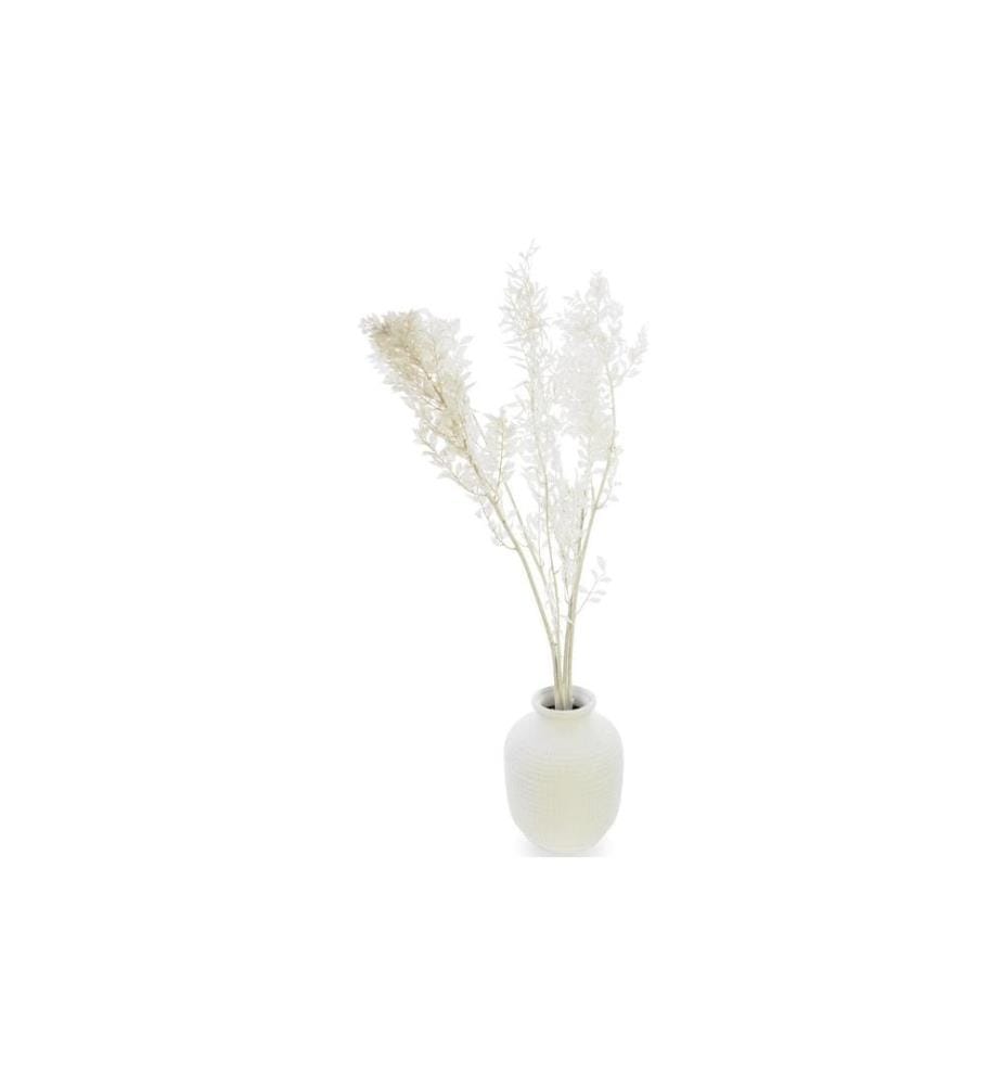 SOLI COLLECTION - Fleurs séchées Ruscus 70-75 cm, blanc