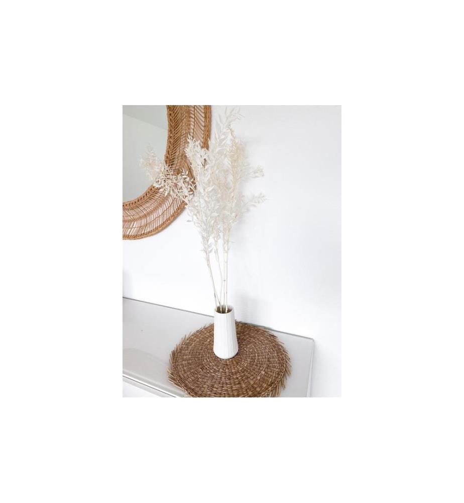 SOLI COLLECTION - Fleurs séchées Ruscus 70-75 cm, blanc