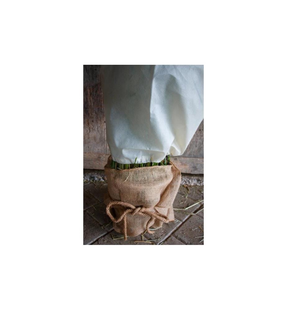 Colibri - Winterschutz aus Jute natur, 230 g/m² 150 x 38 cm