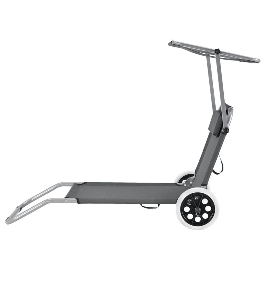 Bain de soleil Falun avec toit et roulettes Gris anthracite