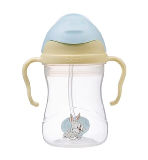Looney Tunes Learning Sippy Cup 240ml