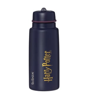 Thermosflasche 1L Harry Potter