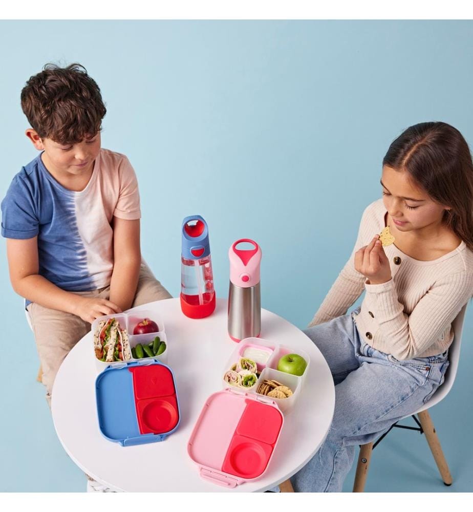 Mini Lunchbox 1L Flamingo Fizz