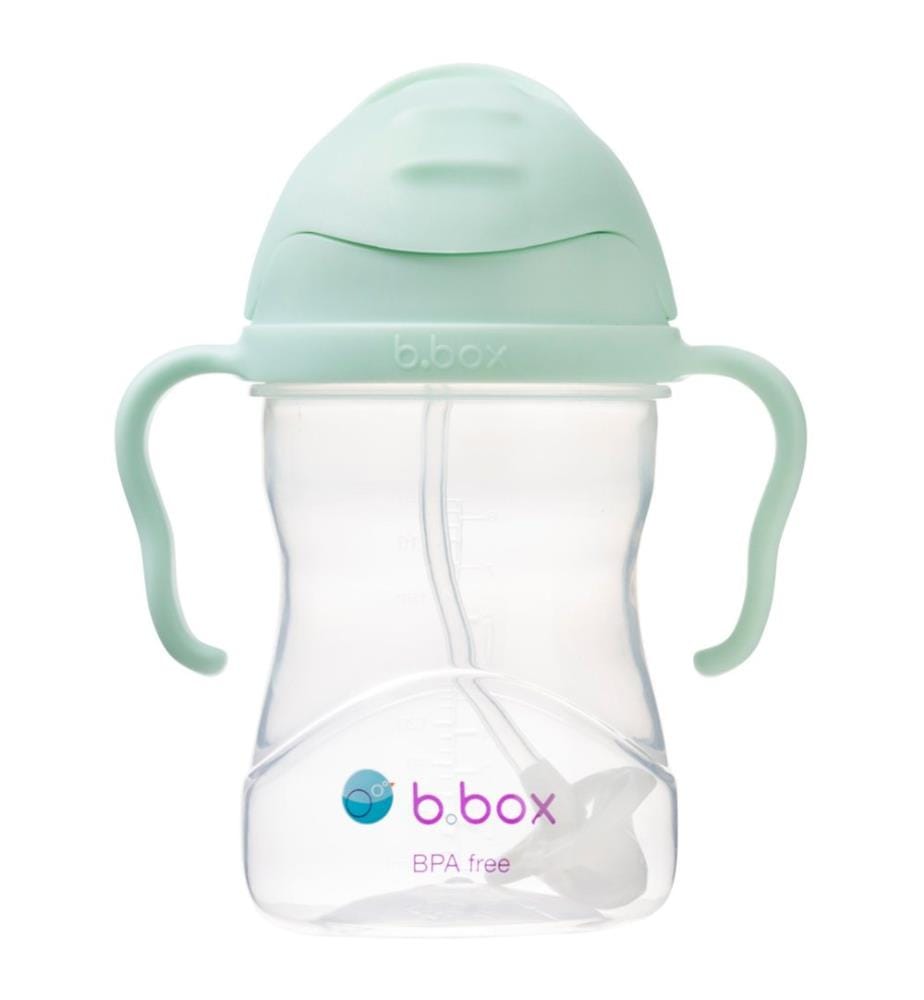 Trinklernbecher Sippy Cup 240ml Pistachio