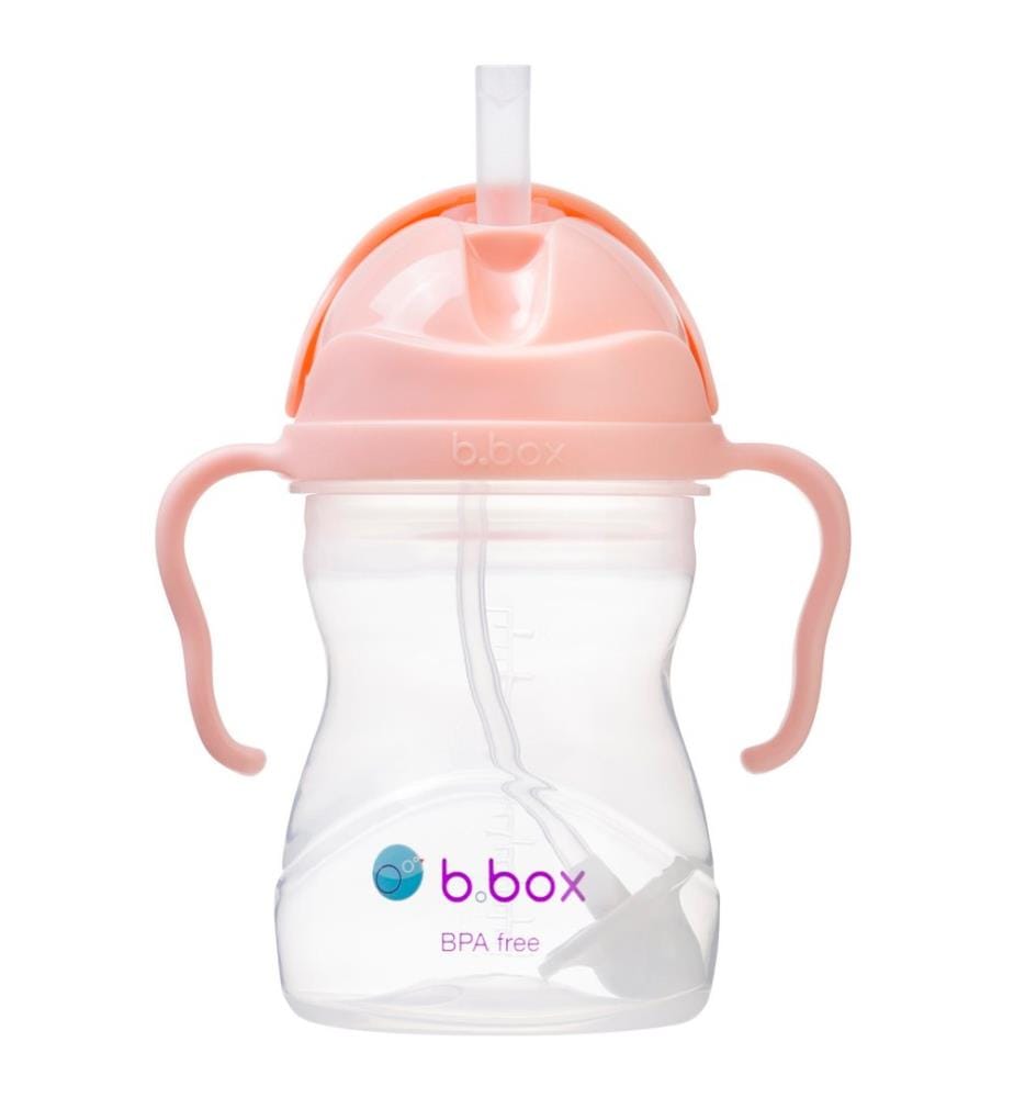 Tasse d'apprentissage Sippy Cup 240ml Tutti Frutti