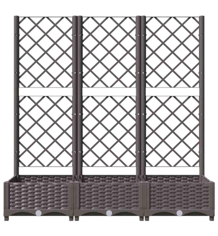 Jardinière avec treillis Marron 120x40x121,5 cm PP