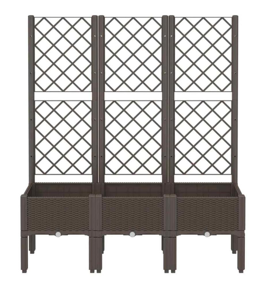 Jardinière avec treillis marron 120x40x142 cm PP