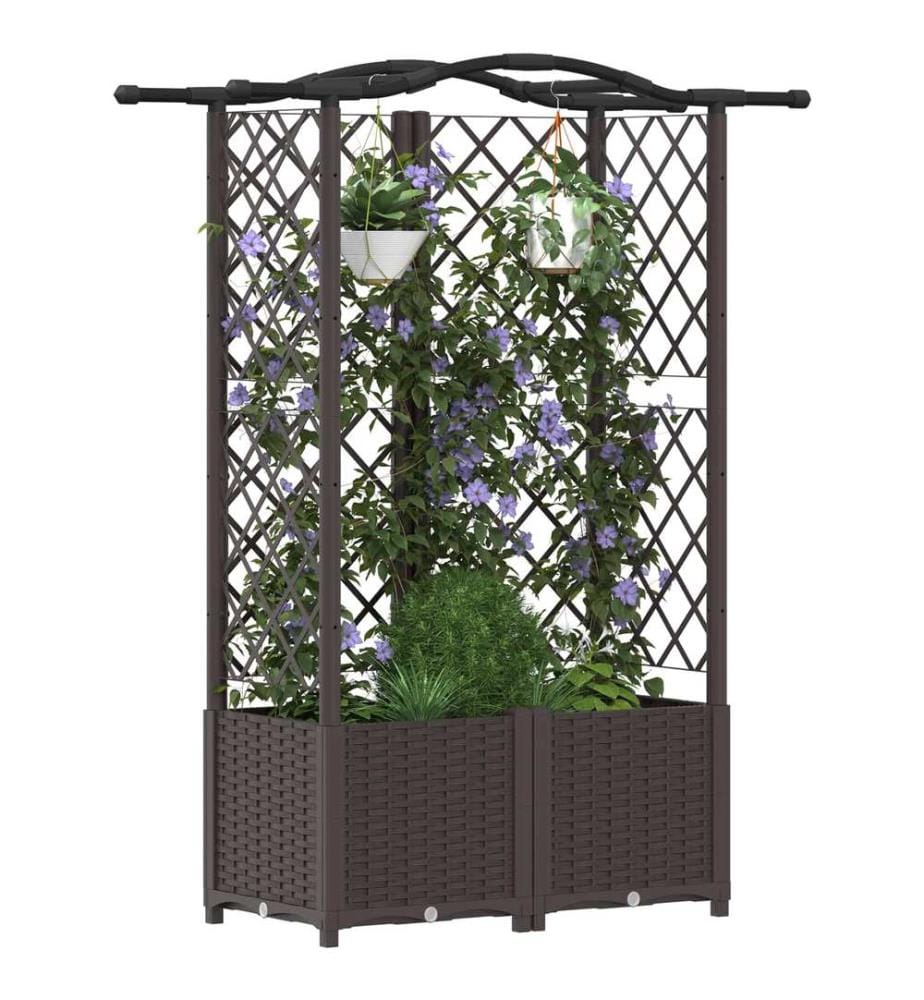 vidaXL Lit Élevé avec Treillis et Toit Marron 122 x 40 x 141 cm PP