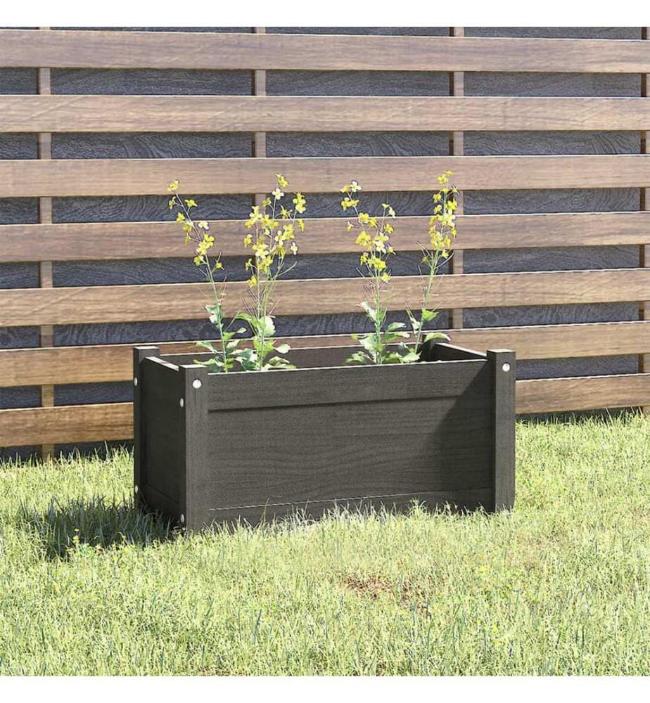 vidaXL Jardinière Gris 60x31x31 cm Bois de pin massif