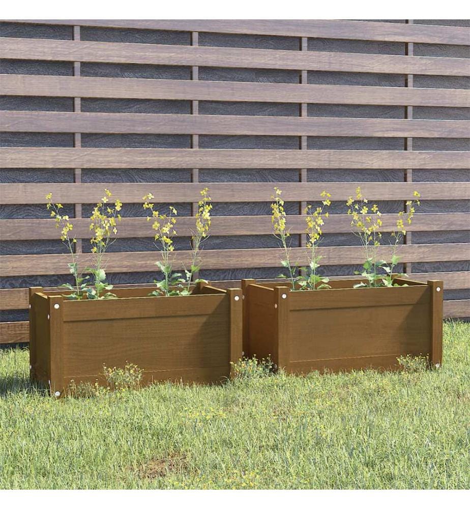 vidaXL Jardinières d'extérieur 2pcs Marron miel 60x31x31cm Bois de pin