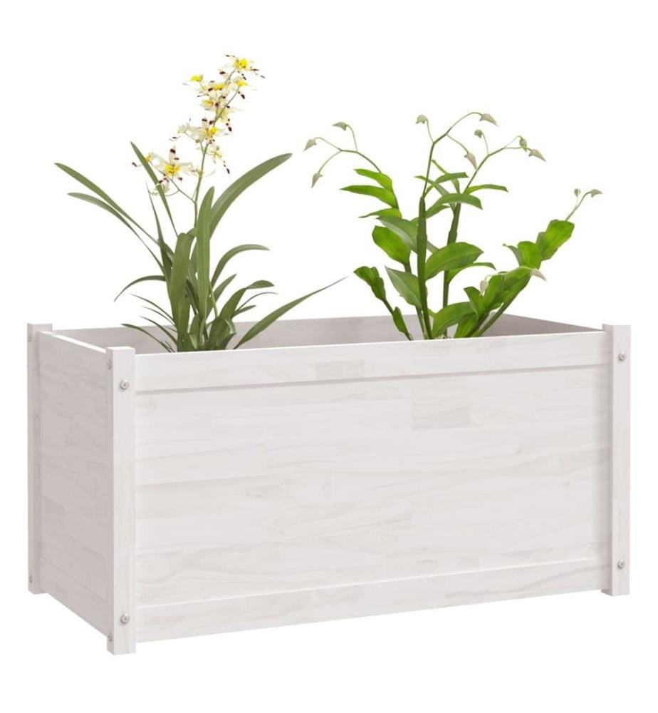 vidaXL Jardinière Blanc 100x50x50 cm Bois de pin massif