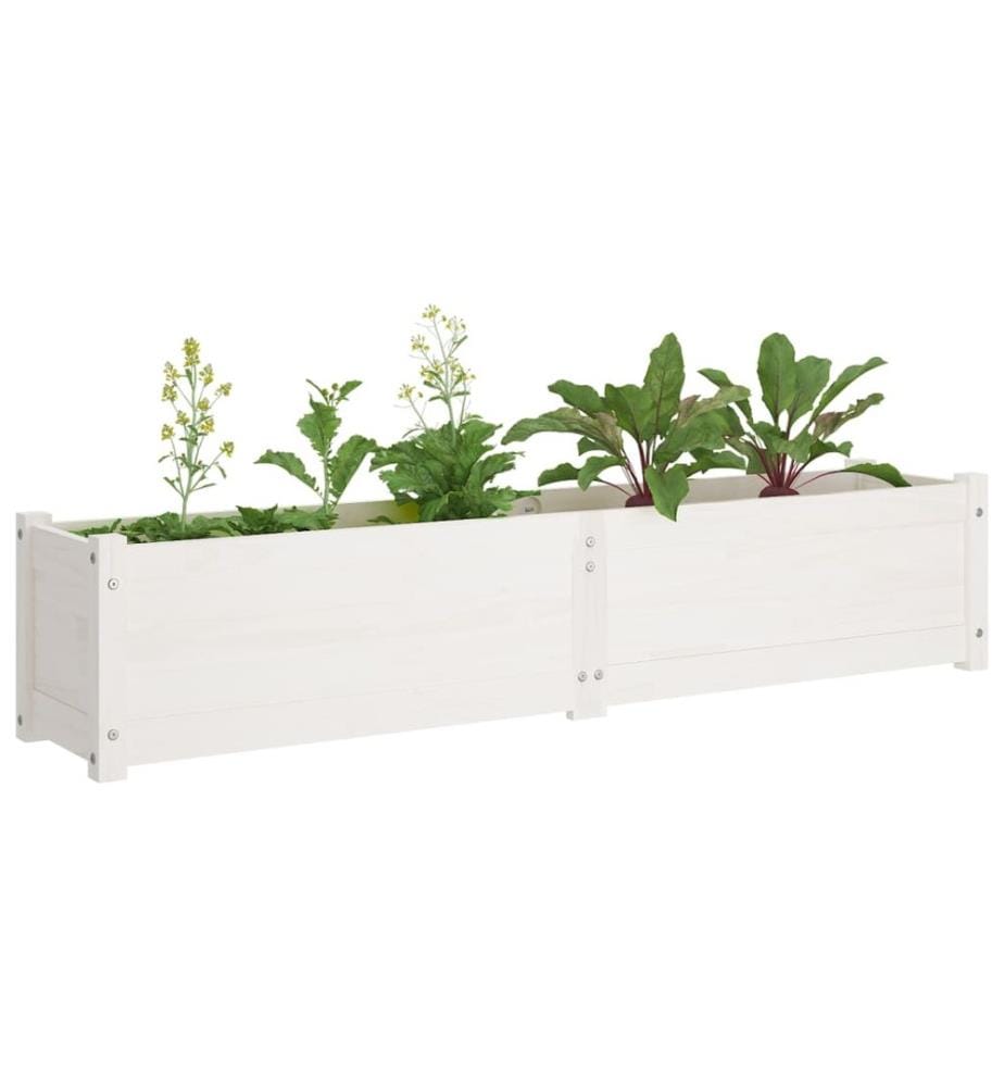vidaXL Lits surélevés de jardin 2 pcs Blanc 150x31x31cm Bois de sapin