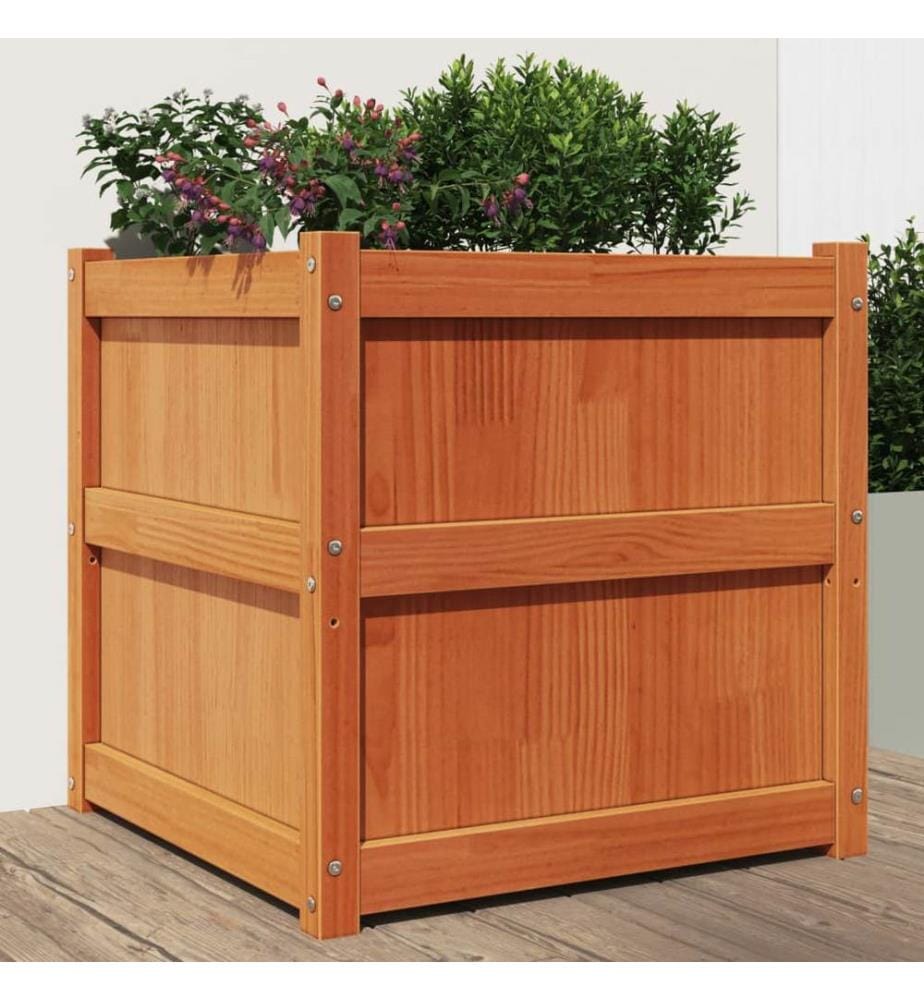 vidaXL Jardinière cire marron 60x60x60 cm bois de pin massif