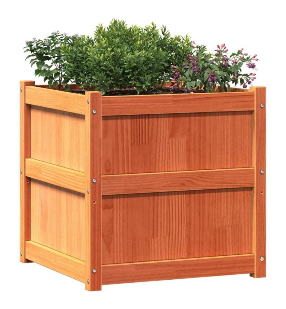 vidaXL Jardinière cire marron 60x60x60 cm bois de pin massif