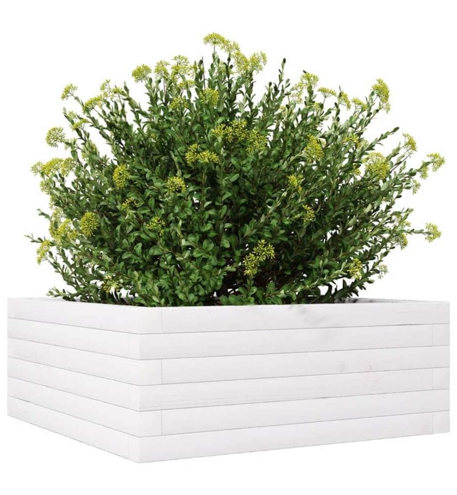 vidaXL Jardinière blanc 60x60x23 cm bois de pin massif