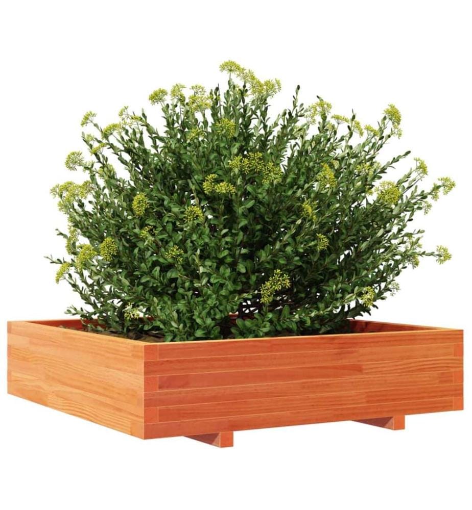 vidaXL Jardinière cire marron 100x100x26,5 cm bois de pin massif