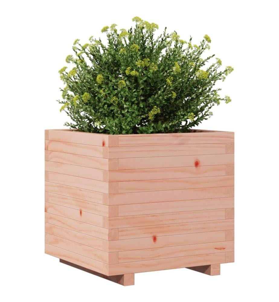 vidaXL Jardinière 50x50x49,5 cm bois massif de douglas