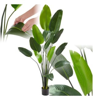 Pianta artificiale strelitzia Tropic, realistica - 180 cm