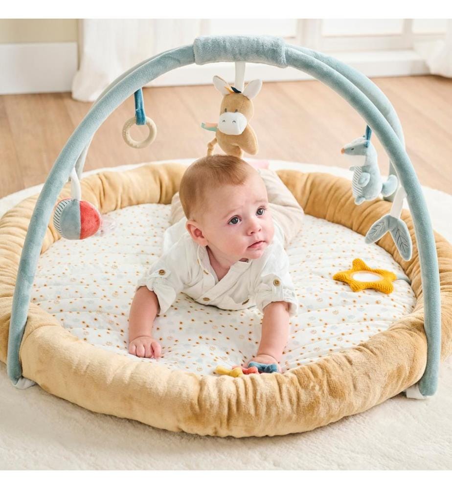 Félix et Léo Tapis d'éveil avec arches