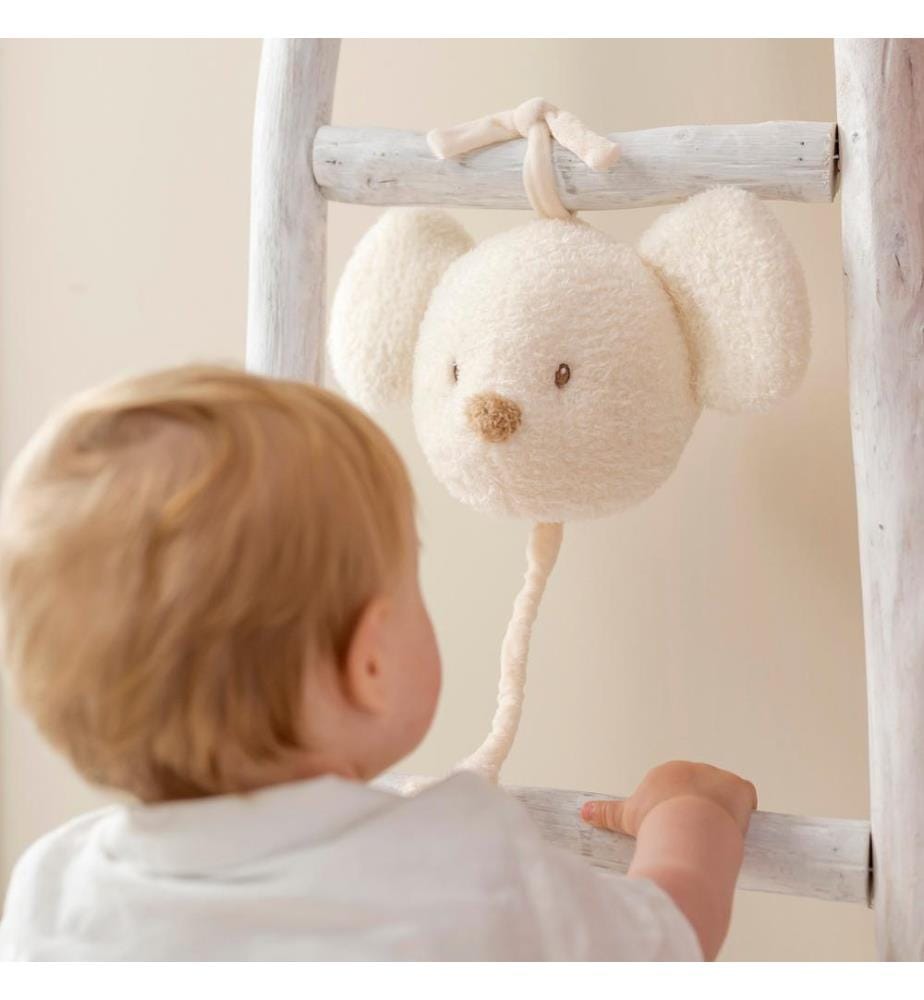 Teddy Boîte musicale Souris