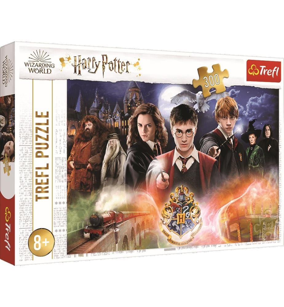 HARRY POTTER Le secret de Harry Potter - Puzzle 300pcs - 8ANS+ - 60x40cm