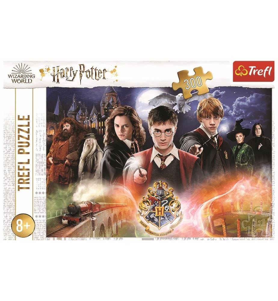 HARRY POTTER Le secret de Harry Potter - Puzzle 300pcs - 8ANS+ - 60x40cm