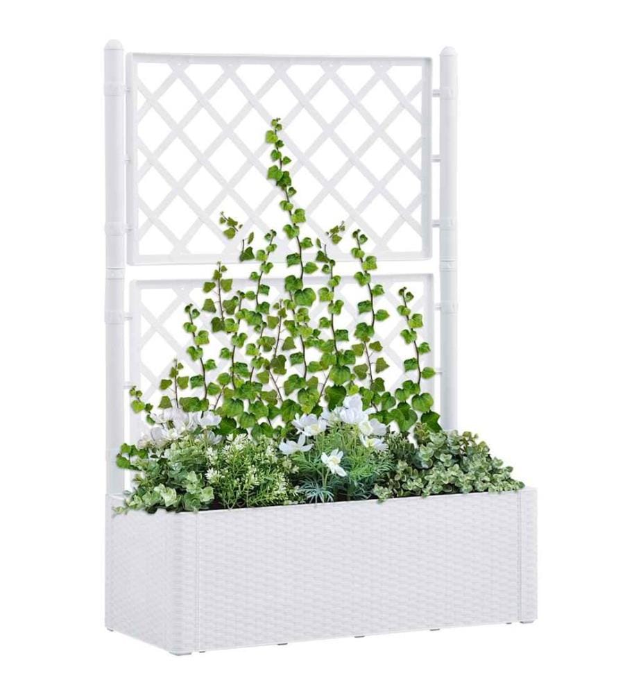 Lit surélevé de jardin et treillis et système d'arrosage Blanc