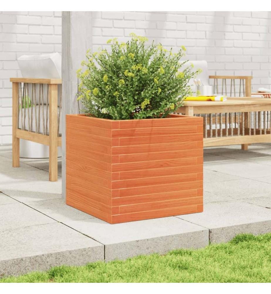 Jardinière cire marron 50x50x46 cm bois de pin massif
