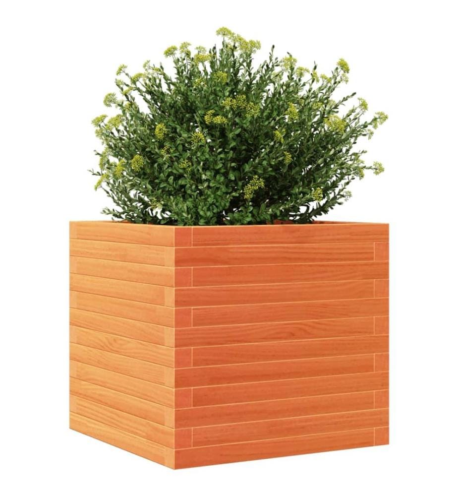 Jardinière cire marron 50x50x46 cm bois de pin massif