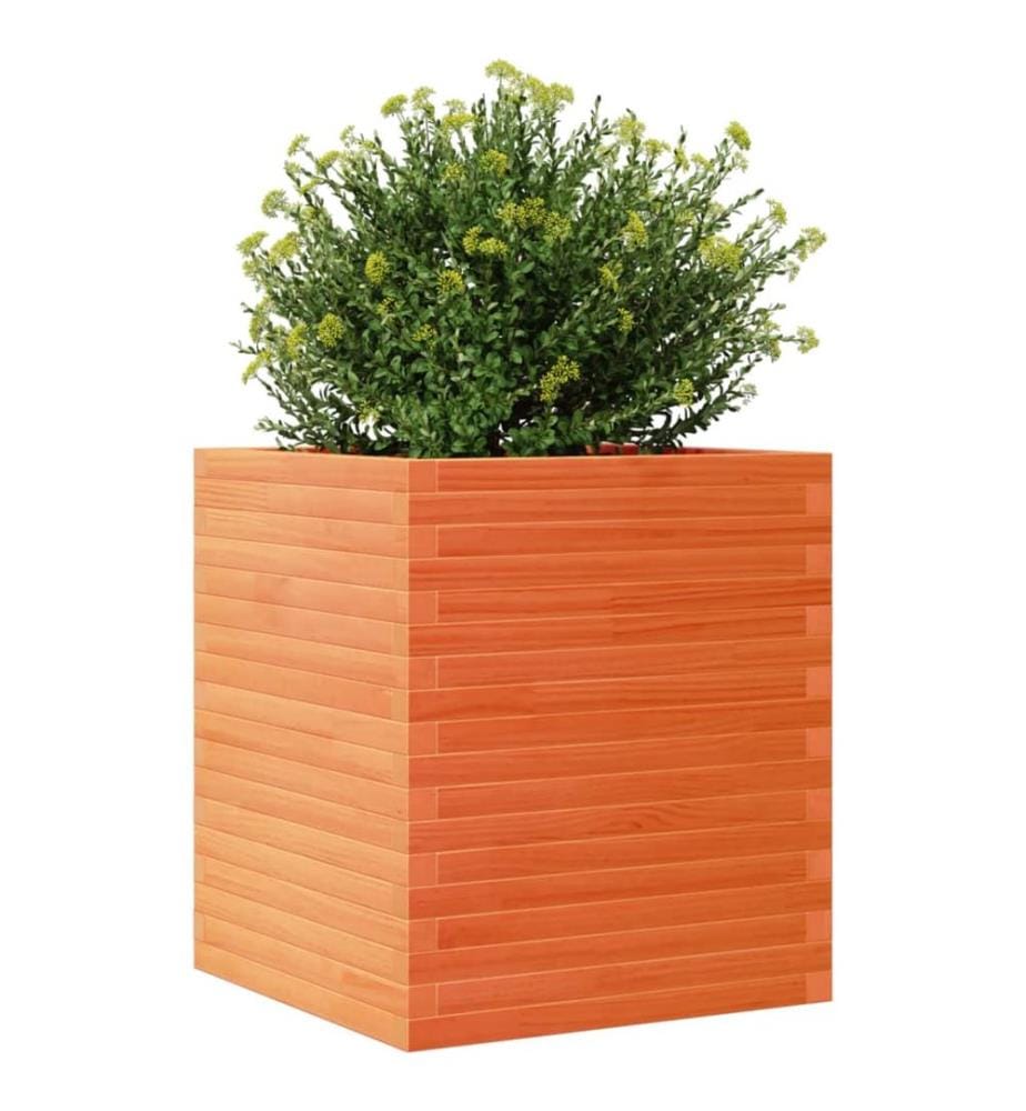Jardinière cire marron 60x60x68,5 cm bois de pin massif