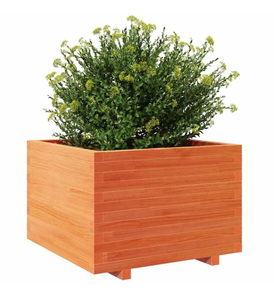 Jardinière cire marron 70x70x49,5 cm bois de pin massif