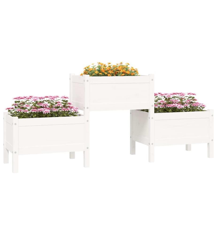 Jardinière Blanc 178,5x44x75 cm Bois massif de pin