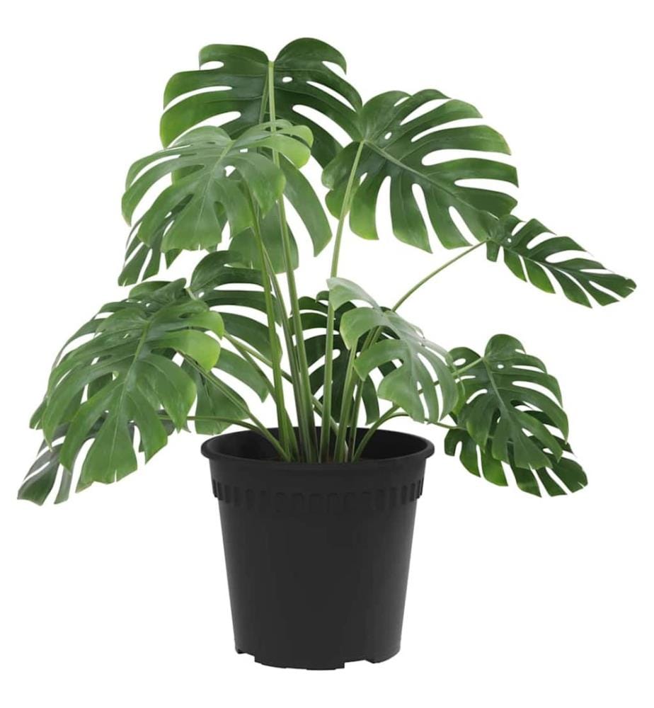 vidaXL Pot à fleurs rond 24 pcs Noir Ø 17 x 14 cm Plastique