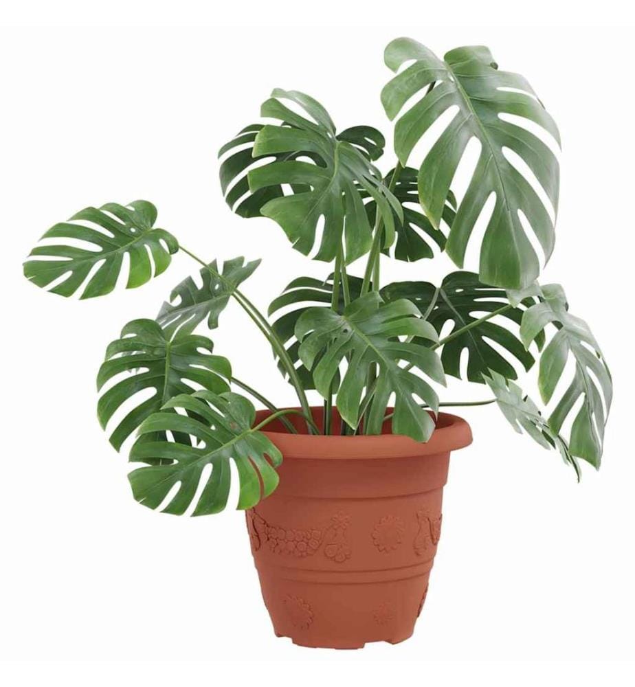vidaXL Pot à fleurs rond 24 pcs Rouge brique Ø 22 x 18 cm Plastique