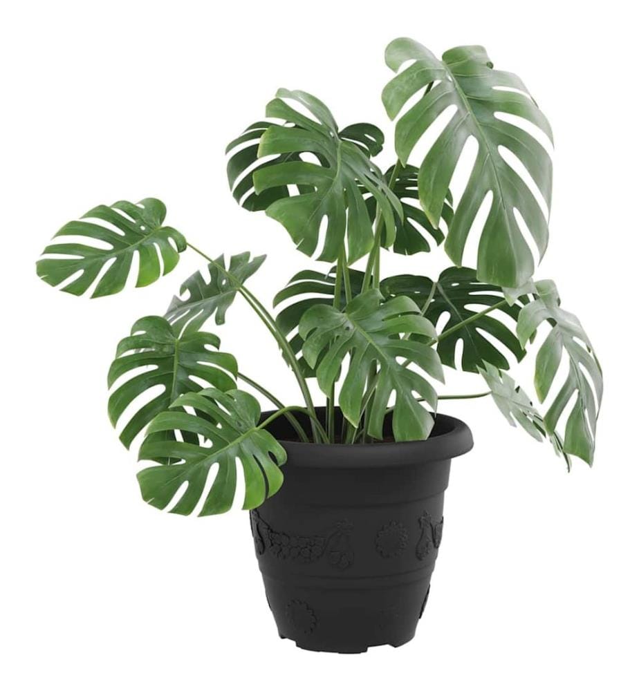 vidaXL Pot à fleurs rond 24 pcs Noir Ø 26 x 21,5 cm Plastique