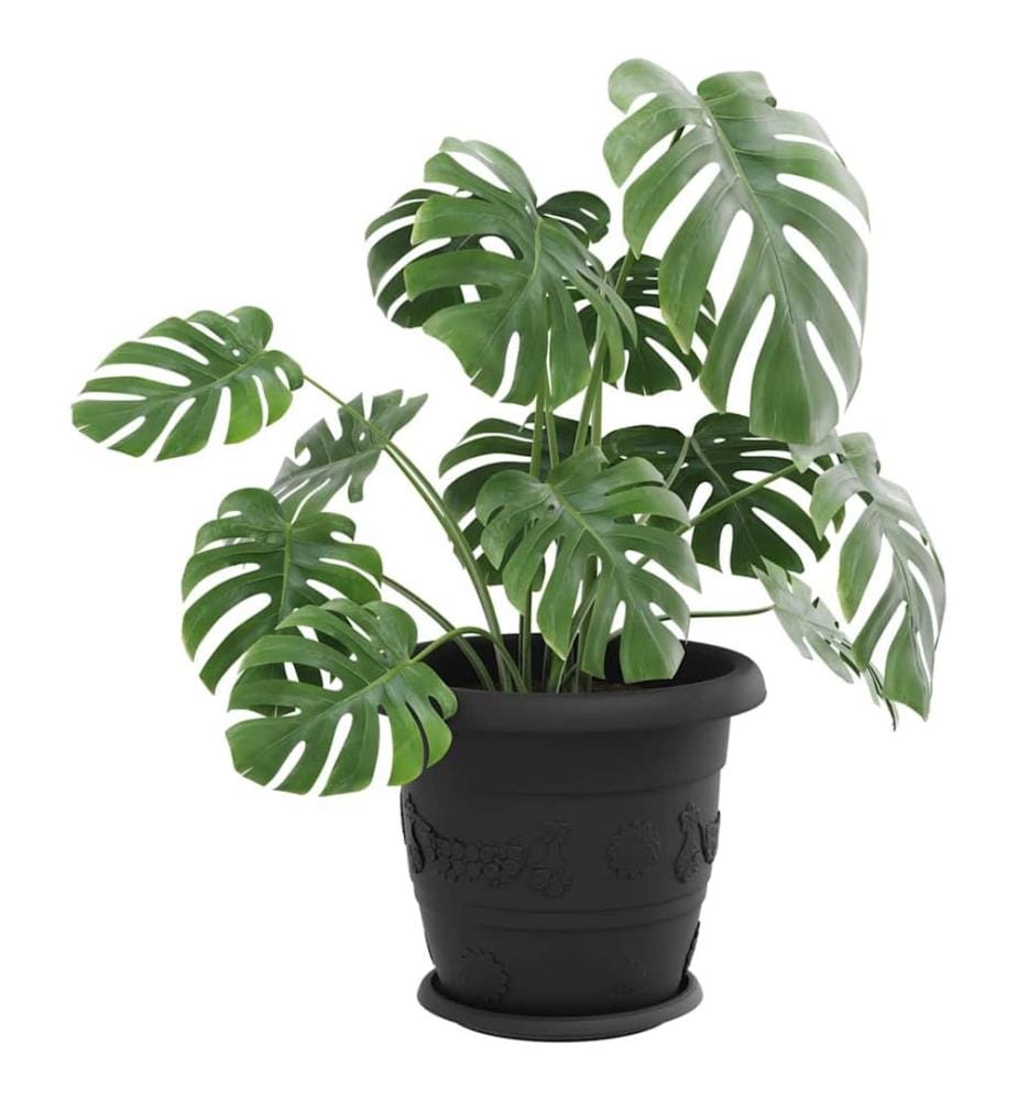 vidaXL Plateau à fleurs rond 6 pcs Noir Ø 14 x 2 cm Plastique